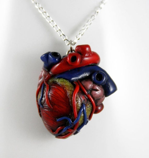 Anatomical Heart Necklace How Much I Love You by ...