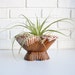 Mid Century Pottery Planter