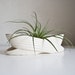 Mid Century Pottery Planter