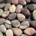 Natural Porcelain Jasper Flat Teardrop beads 10x14mm- 29pcs/strand
