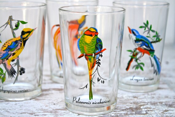 Vintage Glassware BIRD Scientific Names