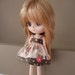 Bunny and Bear Sundress and Bloomers for Middie Blythe