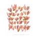Original painting ' Open up' Original Art Abstract Painting - red pink petals love original watercolor I love you