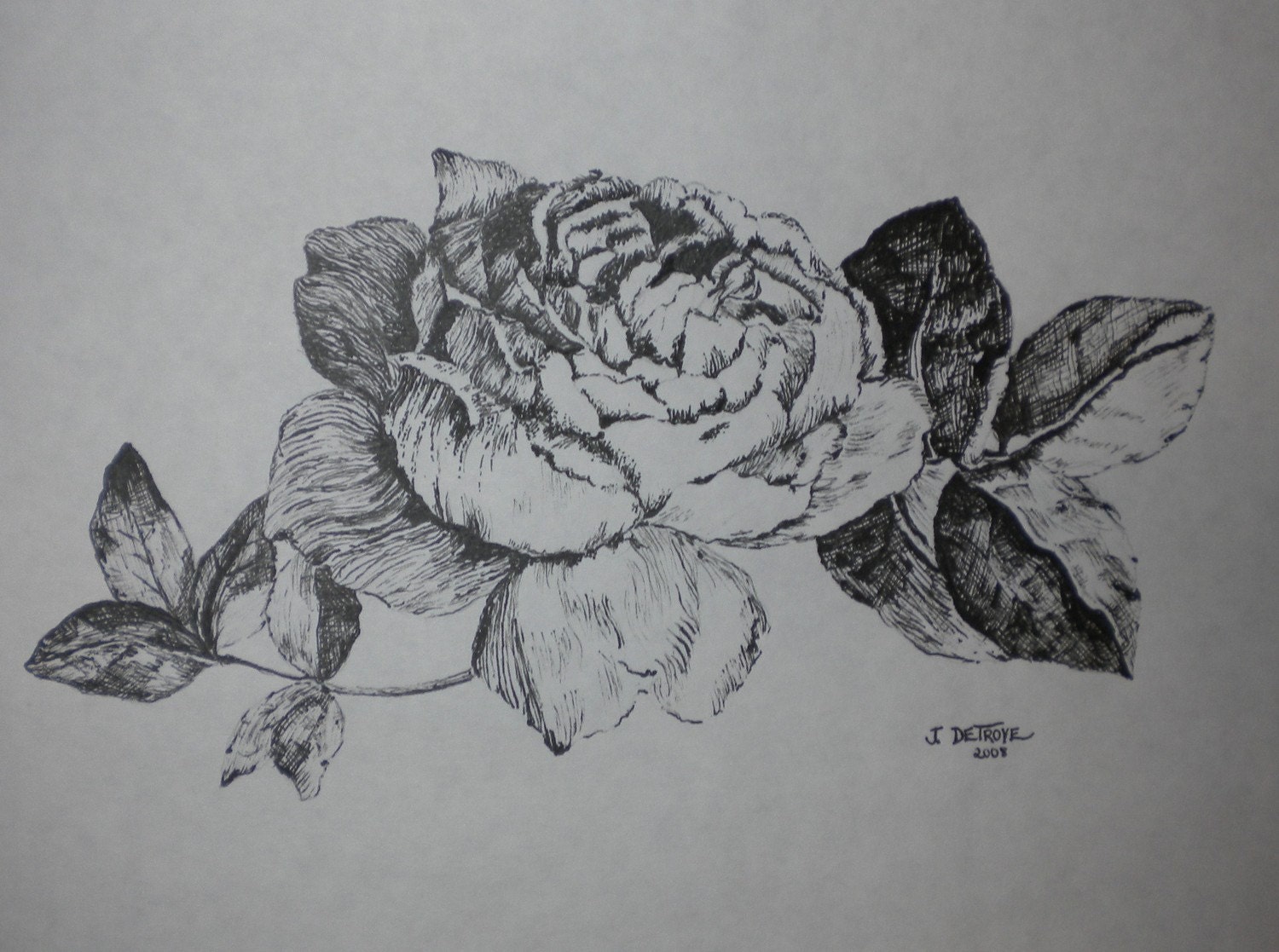 Items similar to Original 8x10 Pen and Ink Rose Drawing by Jenna De ...