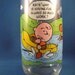 Camp Snoopy Collection McDonalds Drinking Glass