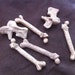 Fortune Telling, Divination Bones in Leather Pouch, Soothsaying