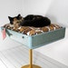 Upcycled Suitcase Pet Bed with Pedestal Base