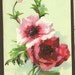 Pink Rose and Poppies Vintage Floral Postcard 1907- PAIR