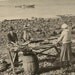 Vintage Postcard GASPE Quebec Curing Fish Photo Postcard 1936