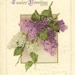 Purple and White Lilacs on Vintage IAPC Easter Postcard - New York 1915 cancel