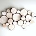 Reserved for Kelda - white birch forest topography - 24x24
