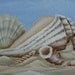Beach Seashells on Sand - Original Painting - 8 x 10 matted