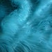 Turquoise Faux Fur 18x20 make a nice photography prop