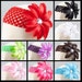 YOU PICK 2 Tropical Lily Flower Hair Clip with Crochet Headbands - Newborn Baby Girl Toddlers Photography Prop - Many Colors to Choose From