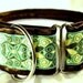 Chocolate and Teal Jacquard Martingale Collar - 2 Inch
