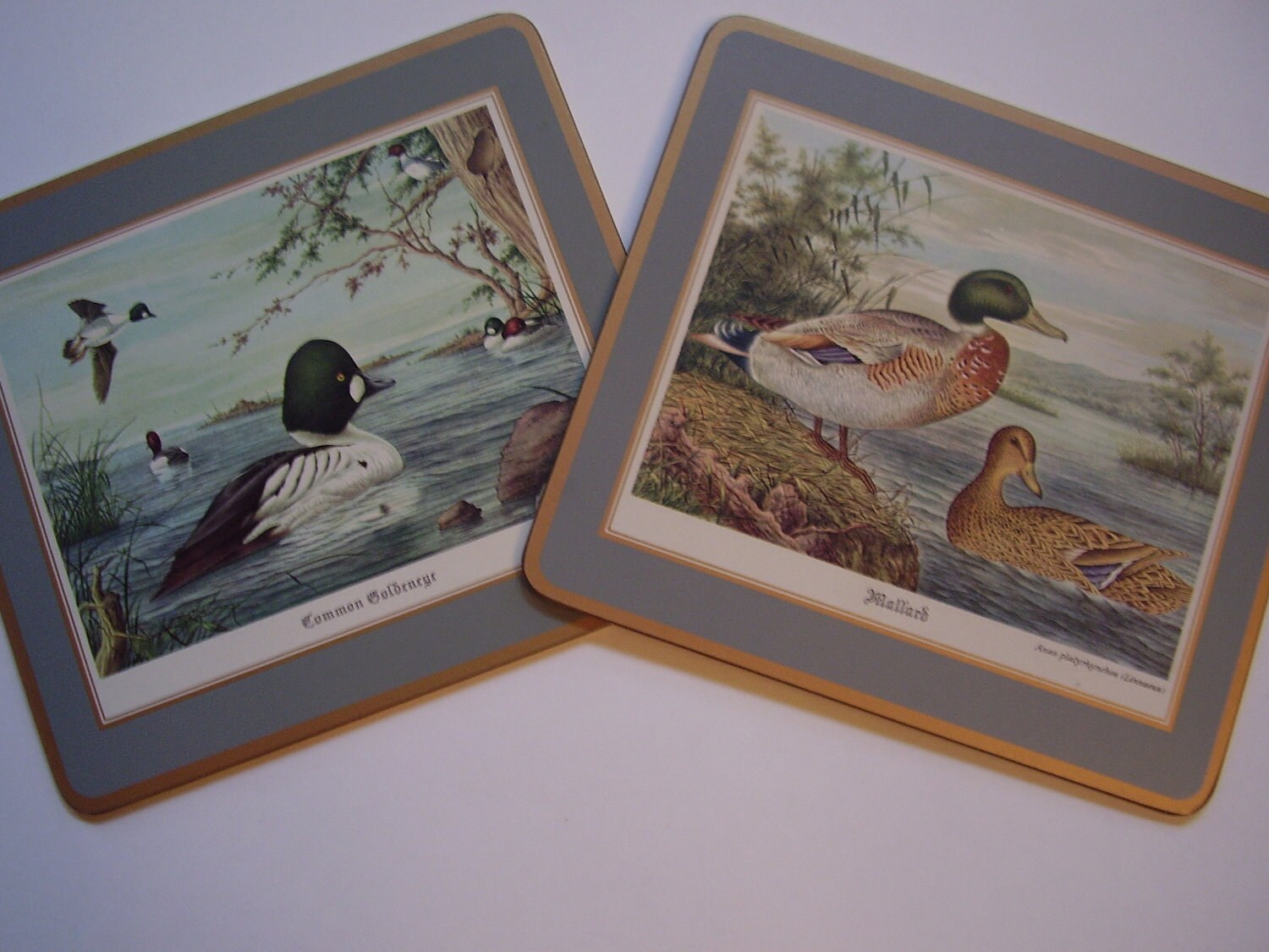 Vintage Duck Placemats by Pimpernel