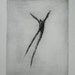 Original Drypoint "Lucky"