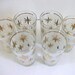 Frosted Drinking Glasses