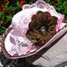 Cowgirl Hat - Pink and Brown - Girls Cowboy Hat - Girls Western Theme Party Hat - CB18