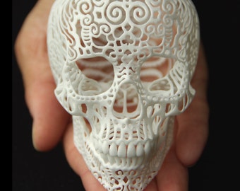 Skull Sculpture "Crania Anatomica Filigre" (small)