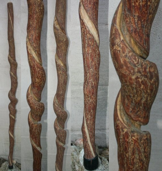 Twisted Wood Walking Stick / Staff Sassafras 1416