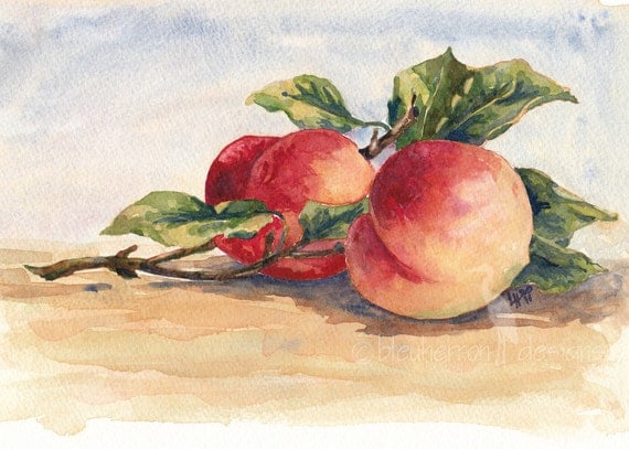 fruit painting Two Peaches watercolor art print