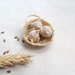 Reserved for Sarah -Miniature nest with a cute little birds, wood carving, wall art