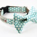 Aqua Blue Honeycomb Bowtie Dog Collar