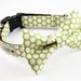 Green Honeycomb Dog Bowtie Collar