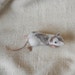 Diamond -- Mouse Shoulder Pet