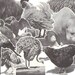 12 Mixed ANIMAL BIG Clippings - Vintage paper cut-outs for collage