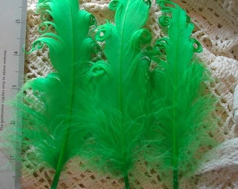 3 Loose Nagorie Feathers - Lime Green