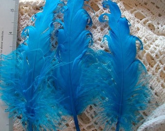 3 Loose Nagorie Feathers - Aqua