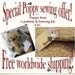 E-Pattern plus sewing kit to make a sweet Poppy bear.