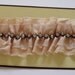 Fabric Trim in Toast with Rhinestone Chain for Bridal, Wedding, Hair Accessories, Dress Making, Millinery
