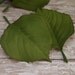 Silk Flowers - Leaves - 40 Larger Size Green Hyrangea Leaves - Artificial Leaves - Greenery - Foliage