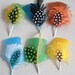 SALE Lot of 6 picks - Assorted Colours