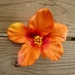 Orange HIBISCUS Flower hair clip