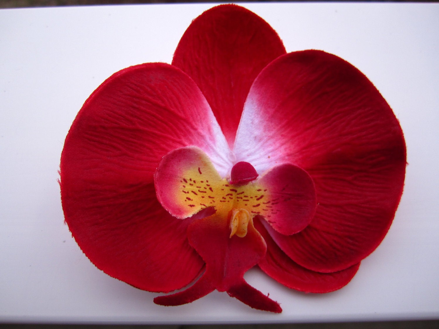 Red Orchid Flower