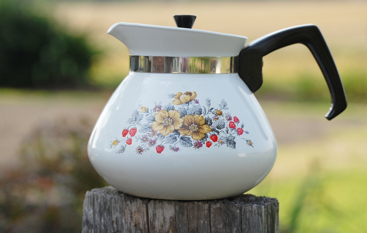 Vintage Corelle Corning Ware 6 cup Teapot in Rare Bantry