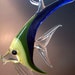 Glass Angel Fish, Lampwork Sea Life Art, Suncatcher, Ornament, Home Decor, Tropical Sculpture