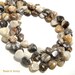 Bamboo Leaf Agate, Multi Colored, Triangle, Smooth, 10mm, Natural Gemstone Beads, 12pcs - ID 700
