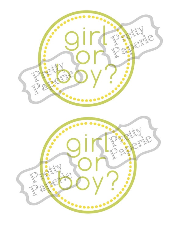 Gender Reveal Party Package Printable Pdf