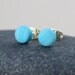 Ocean Earrings - Turquoise