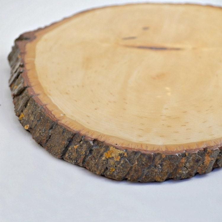 Wood slice trivet finished with bark