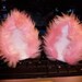 Pink Kitty Cat Ears Clip On Barrette Cat Ears Costume Cosplay