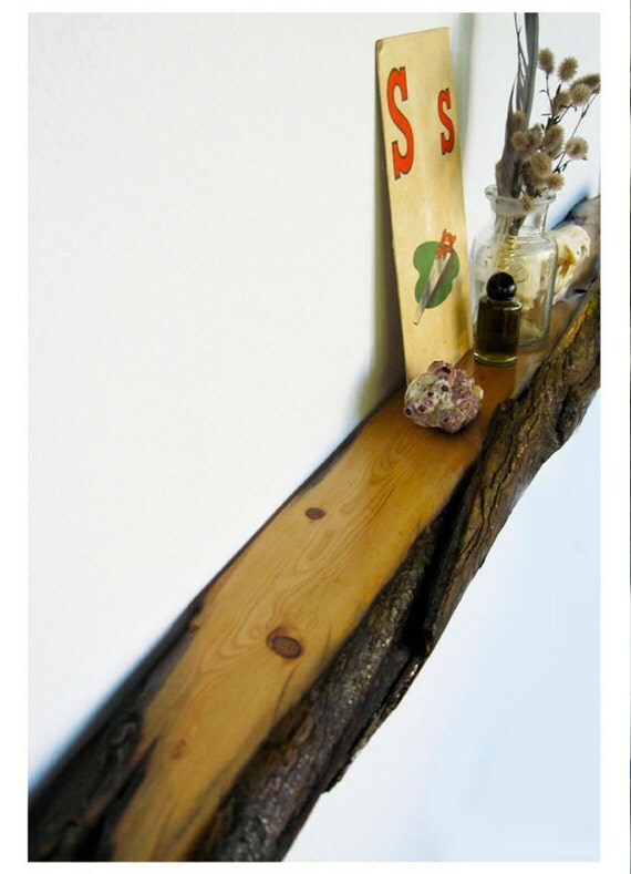 Contemporary Rustic Wooden Log Shelf