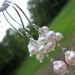 Bridesmaid Gift/Wedding Gift-The White Fresh Water Pearls with Pink Round Mother of Pearl- Sterling Silver