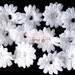 12 2" White Daisy Flowers - LAST ONE