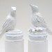 Country Doves